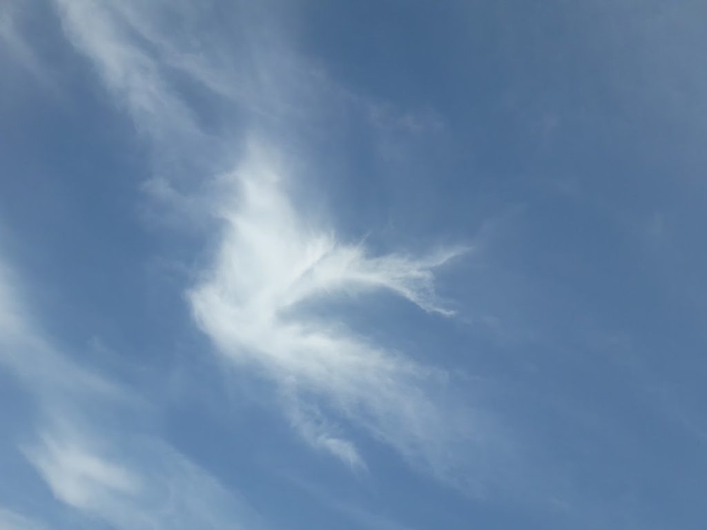 the-sky-is-blue